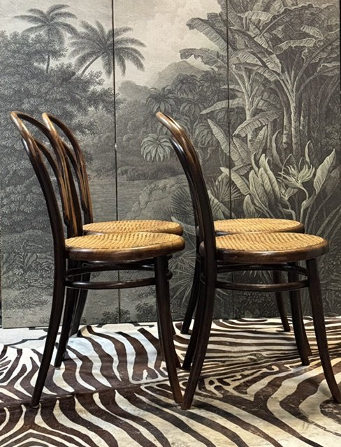 Image 1 of 4 antique Thonet bistro chairs no. 14 with authenticity seal