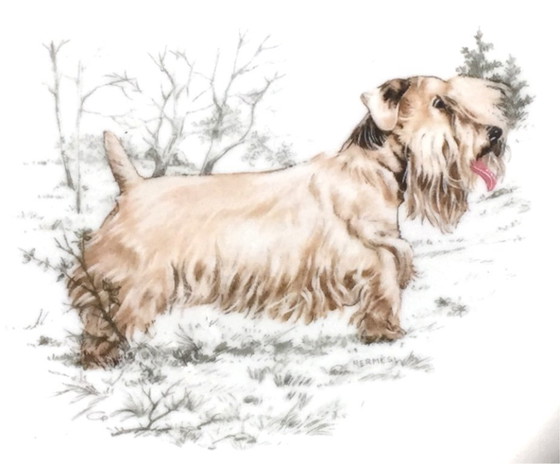 Image 1 of Hermès Paris – Assiette décorative en porcelaine Série « Chiens courants & Chiens d’arrêt » – Sealyham Terrier