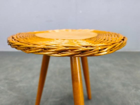 Image 1 of Soporte y estante para plantas checoslovaco de mediados de siglo, década de 1970.