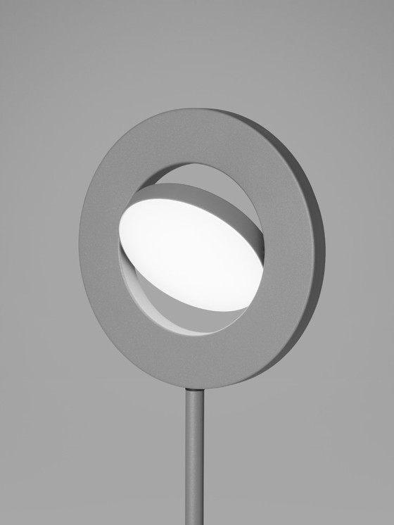Image 1 of JAPTH Signum floor lamp with swivel spotlight in gray