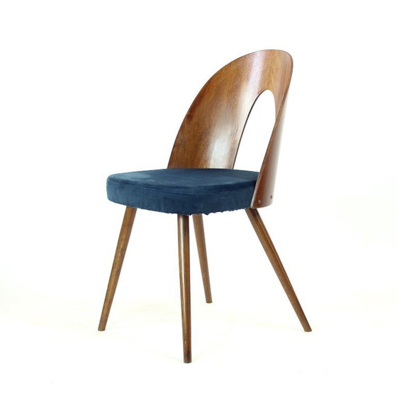 Image 1 of Set Of 6 Iconic Tatra Chairs In Walnut & Velvet By šuman, Nabytok Pravenec 1960s