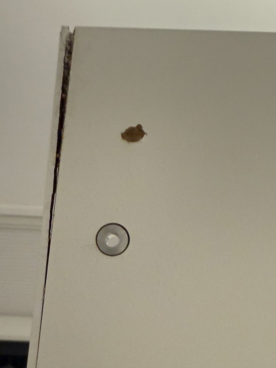 Image 1 of MDF Italia – Random Bookcase (Matt Lacquered White X042)