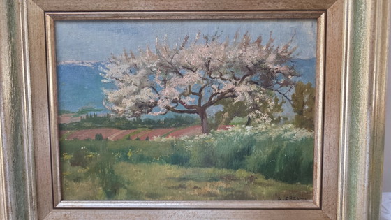 Dipinto di A. Cresti, Paesaggio con albero in fiore, Dipinti e disegni, Legno, Tela, Verde (foto 6 di 12)
