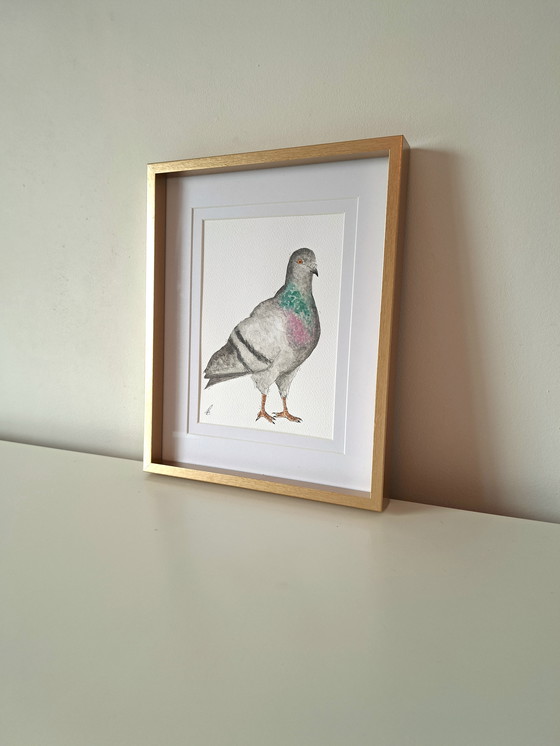 Image 1 of Watercolor painting of a city pigeon | Gold-colored frame