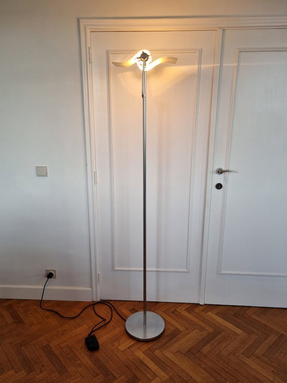 Lampada Classicon Bia – Lampade da terra, Glass, Metal (photo 3 of 7)