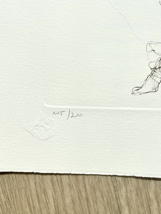 Image 1 of Leonor Fini, Rey, Litografía rara sobre papel Arches, circa 1980