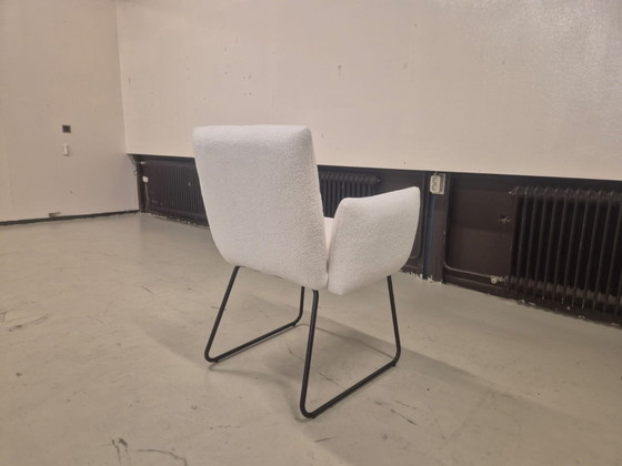Image 1 of 6x SHOWROOM OUTLET - Dante Dining Chairs - Teddy - NEW