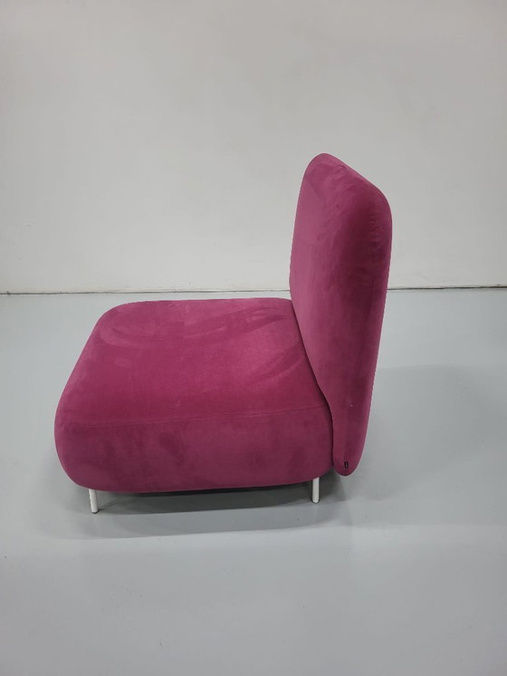 Image 1 of 1x poltrona lounge Pedrali Buddy