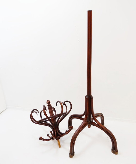 Image 1 of Grote kapstok van gebogen hout in de stijl van een papegaai, in de Thonet-uitvoering – begin 20e eeuw