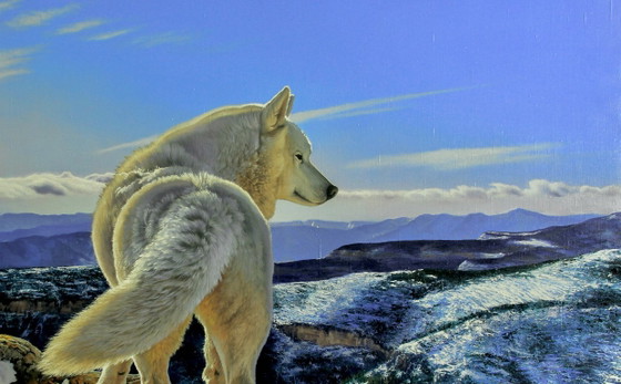 Original Oil Painting Animal Northern Wolf Breath of the Mountains – Paintings & Drawings, Canvas (photo 3 of 6)