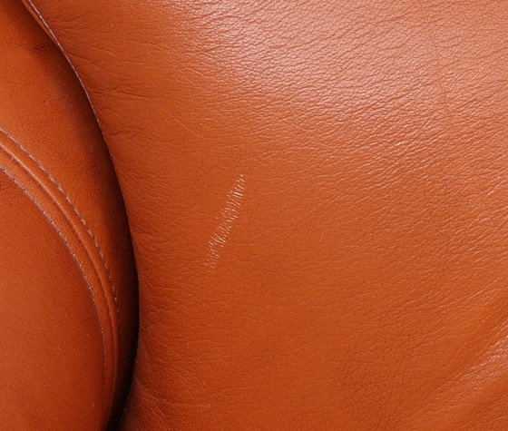 Image 1 of Coppia di poltrone in stile "Chasse" di metà secolo - Pelle e legno massello