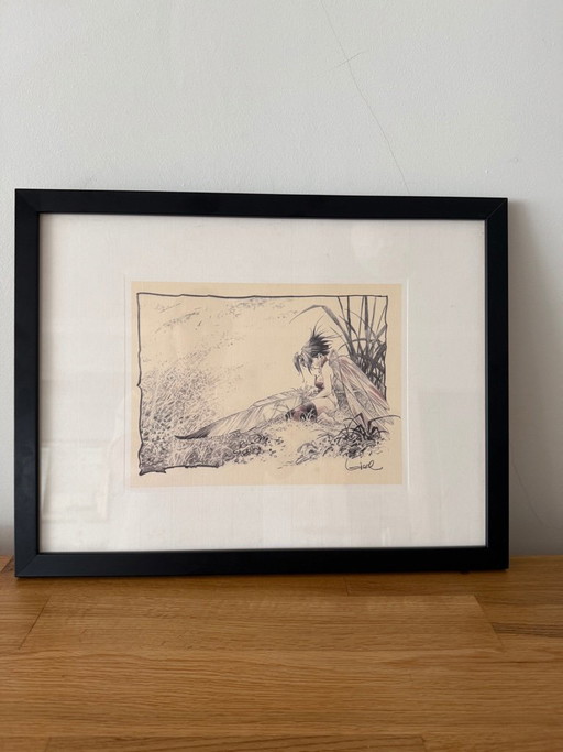 Régis Loisel – Tinkerbell – ingelijste illustratie 43 × 33 cm – kunst, Glass, Paper