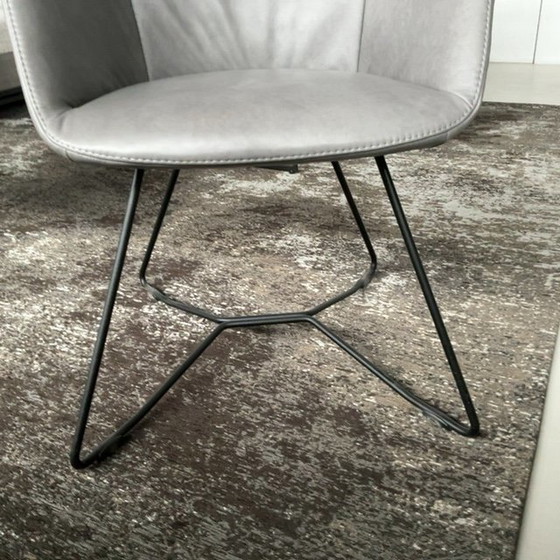 Image 1 of Sedia da pranzo Future Micka (set da 6)