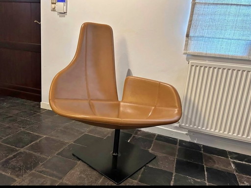Fauteuil Moroso