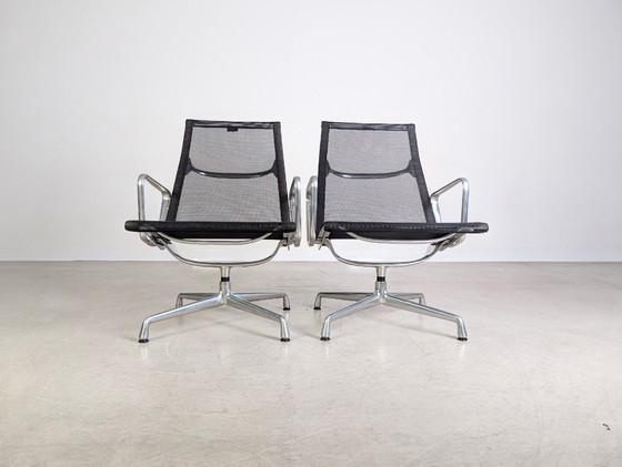 Image 1 of 9x rete originale Vitra EA 115 Sessel Charles & Ray Eames Netz