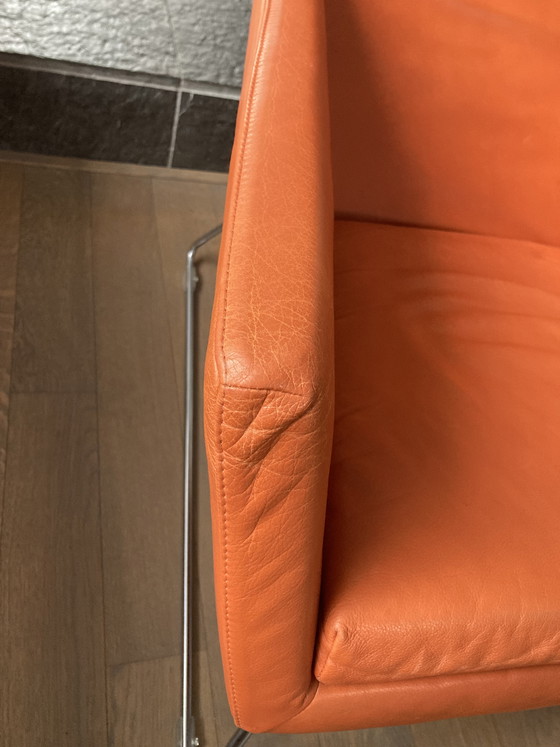 Image 1 of Cognac DON 2x étiquette Gerard van den Berg