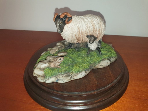 Sheep in the countryside