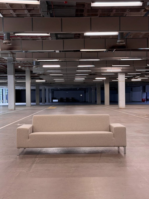 Artifort Mare 2,5 - zits | Wol