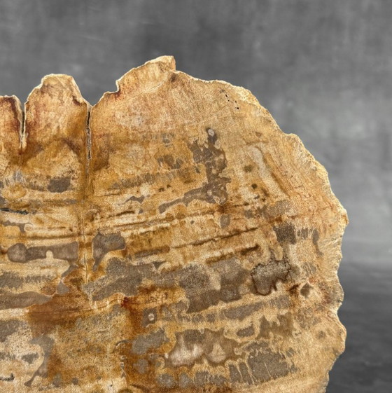 Image 1 of Madera fosilizada de Sooka, soporte hecho a medida (nuevo)