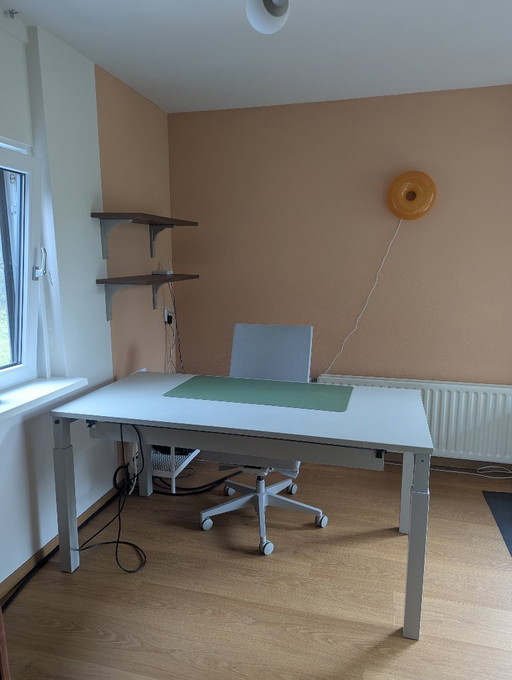 Boring Collection elektrisch zit sta bureau 