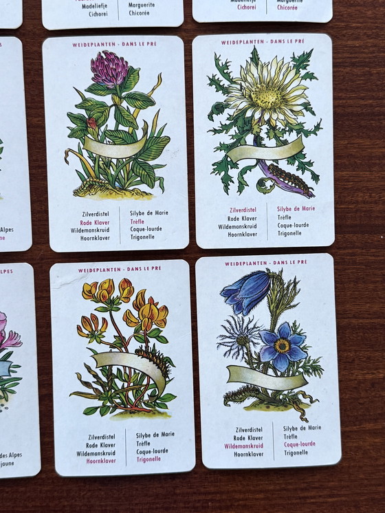 Image 1 of Vintage Bloemenkwartet Jeu de Fleurs - Diabolo 1964 – compleet