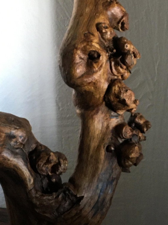 Sculture in legno organico chiamata "Doble Impulso", Marrone, Organic Modern (foto 3 di 12)