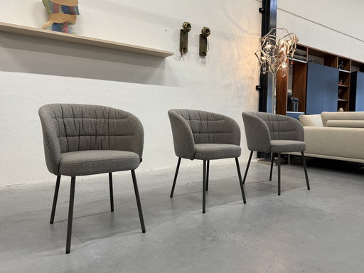 4 Rolf Benz Noa Esszimmerstühle Stoff