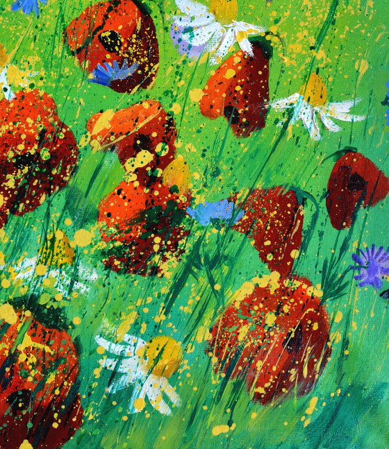 Image 1 of Red Poppies