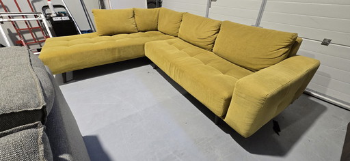 Passe partout bigfood jaune ocre