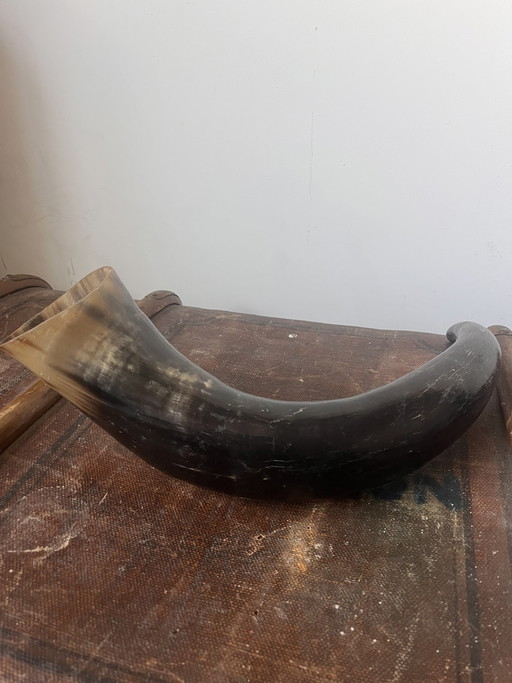 Vaso antico in corno di bufalo