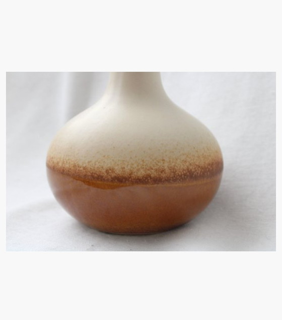 Image 1 of Dijk Natural Collections