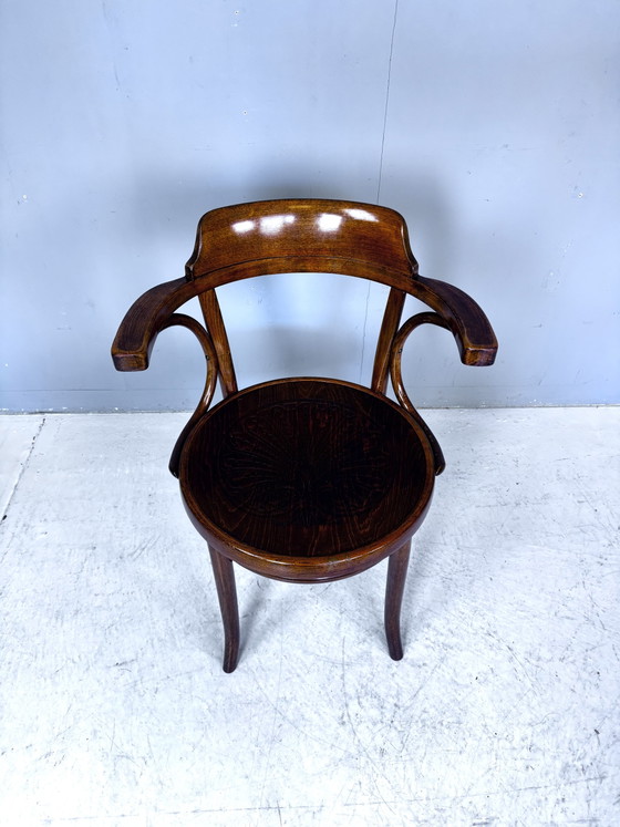 Image 1 of Chaise Thonet Cosmos