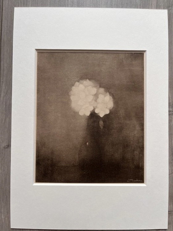 Image 1 of Jan Mankes 1889-1920 / Originele Heliogravure Vaas met Jasmijn 1923