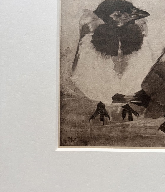 Image 1 of Jan Mankes 1889-1920 / Original Heliogravüre 2 junge Elstern 1923