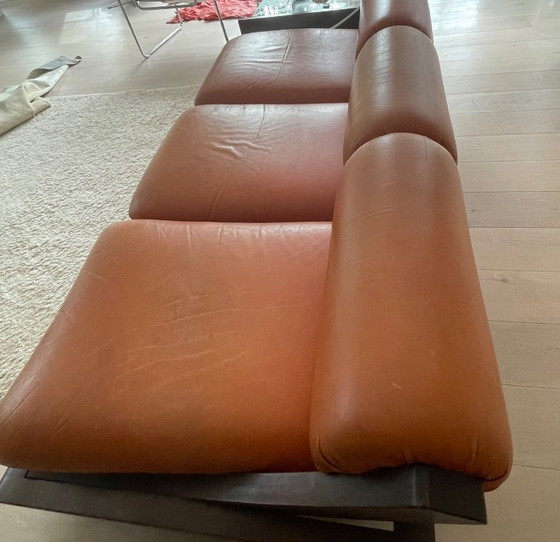 Divano lounge in wengé – Divani 3 posti, Leather (photo 7 of 12)