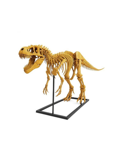 Esqueleto de T-rex - Escultura