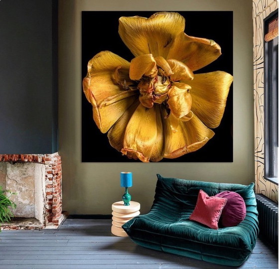 Image 1 of Fleur dorée sur fond noir, impression d'art sur aluminium