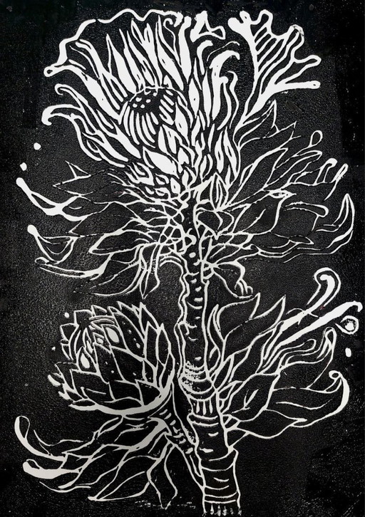  Protea, Linogravure - A3 Encre noire sur papier blanc - Art botanique imprimé à la main - Edition limitée