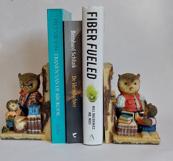 Image 1 of Serre-livres hibou vintage en résine peinte à la main