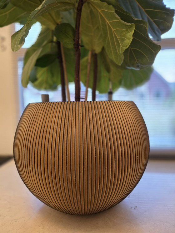 Image 1 of Pot Capi Groove, noir et or, 48 cm de haut et 63 cm de large