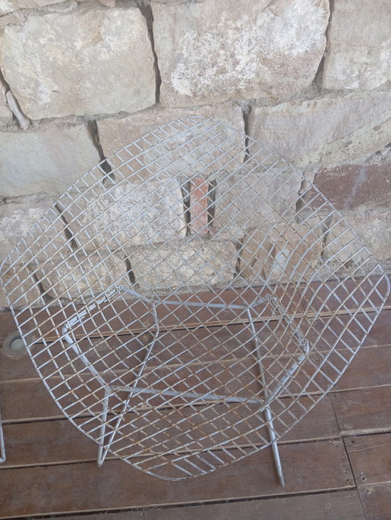 Image 1 of 3 Sedie Diamond Mod. 421 Harry Bertoia per Knoll -  Vintage da Restaurare