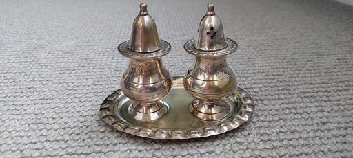 Silver-plated salt and pepper