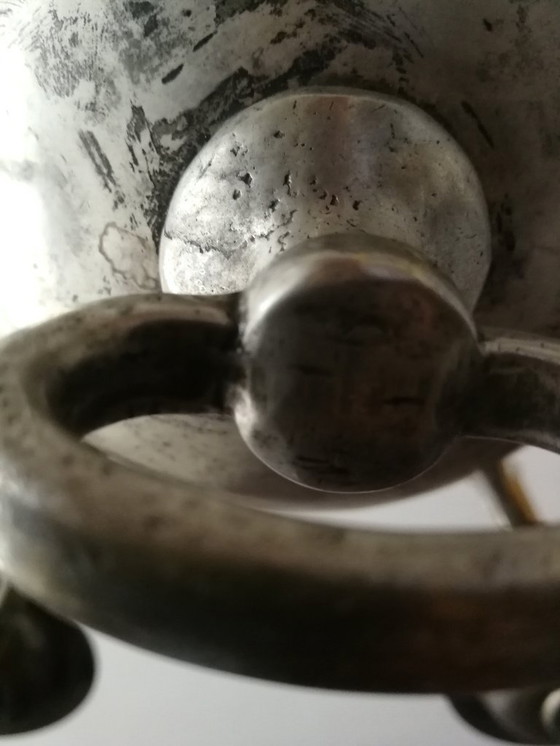 Image 1 of lucentezza da clone fiammingo