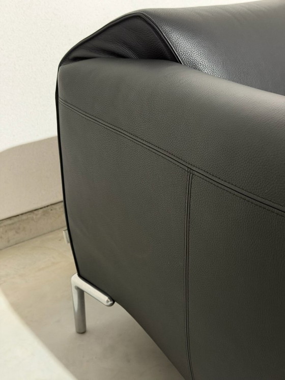 Bert Plantagie Monty Armchairs - as good as new – polished steel, Leather (photo 9 of 10)