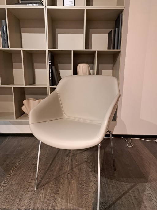 Sedia da pranzo Vienna. Pelle grana nordica color tortora 5132
