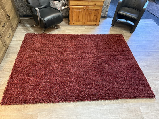 Image 1 of Brink En Campman Dots