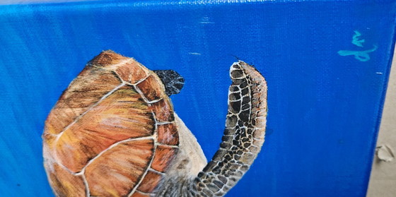 Image 1 of Handmade acrylic painting sea turtle