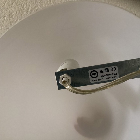 Image 1 of Stem of 30 cm.