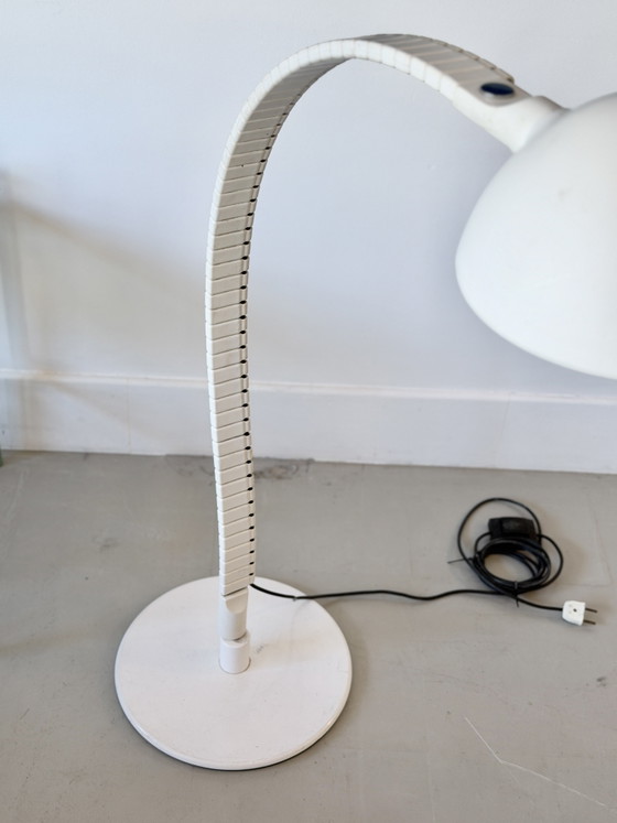 Flex Floor Lamp by Elio Martinelli for Martinelli Luce, Italy, 1960s – Vloerlampen, Metal, Plastic (photo 4 of 15)