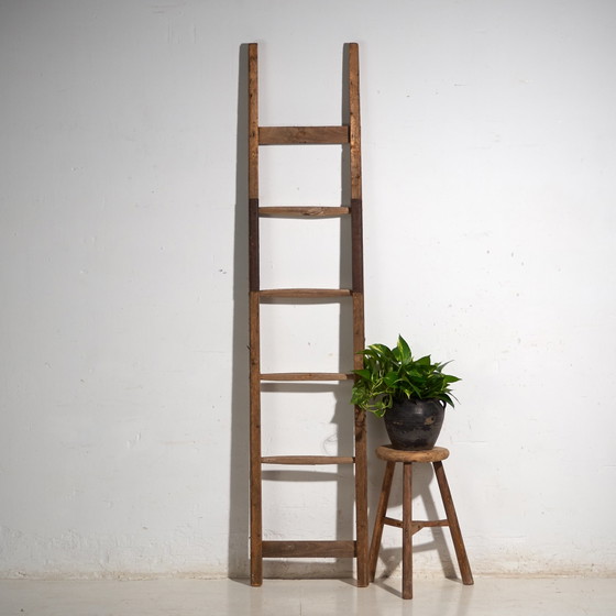 Antieke grenen houten ladder, Centraal-Europa, circa 1900, Decoratieve objecten, IJzer, Bruin, Rustic (foto 8 van 8)